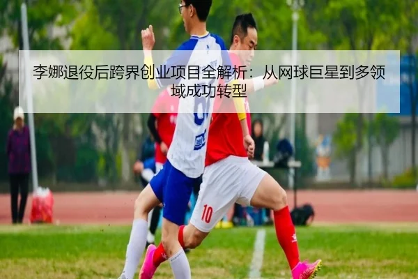 li-na-tui-yi-hou-kua-jie-chuang-ye-xiang-mu-quan-jie-xi-cong-wang-qiu-ju-xing-dao-duo-ling-yu-cheng-gong-zhuan-xing-2-156.jpg